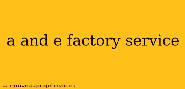 a and e factory service