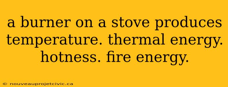 a burner on a stove produces temperature. thermal energy. hotness. fire energy.