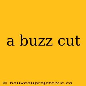 a buzz cut