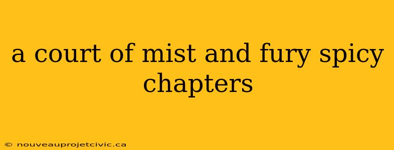 a court of mist and fury spicy chapters