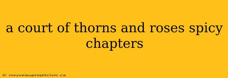 a court of thorns and roses spicy chapters