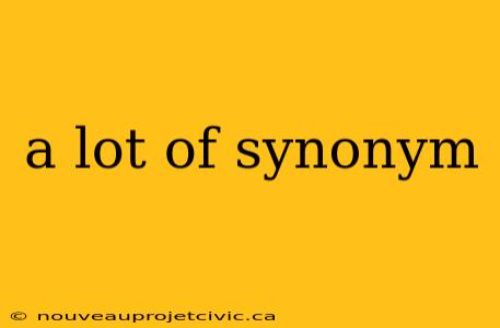 a lot of synonym