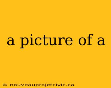 a picture of a