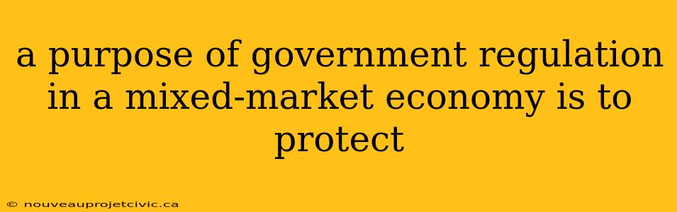 a purpose of government regulation in a mixed-market economy is to protect