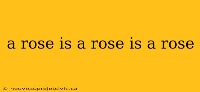 a rose is a rose is a rose