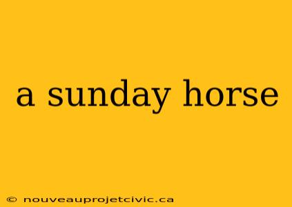 a sunday horse