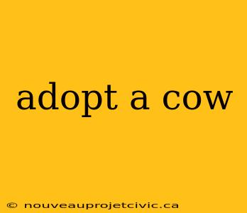 adopt a cow