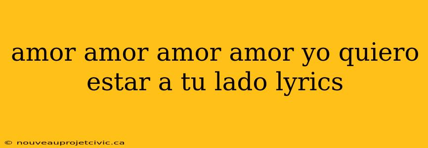 amor amor amor amor yo quiero estar a tu lado lyrics