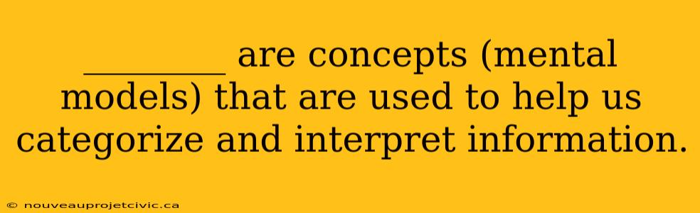 ________ are concepts (mental models) that are used to help us categorize and interpret information.