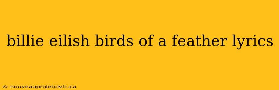 billie eilish birds of a feather lyrics