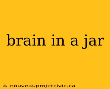 brain in a jar