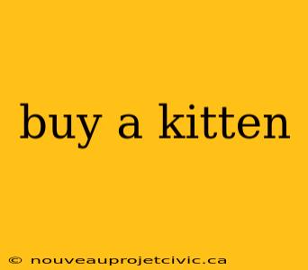 buy a kitten