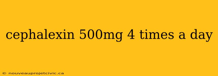 cephalexin 500mg 4 times a day