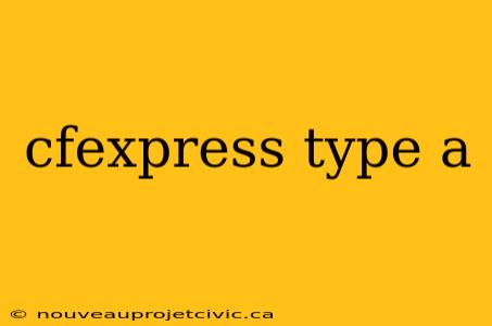 cfexpress type a