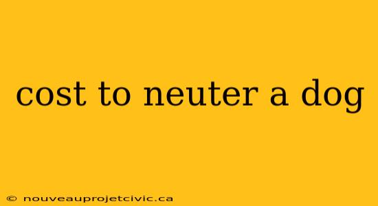 cost to neuter a dog