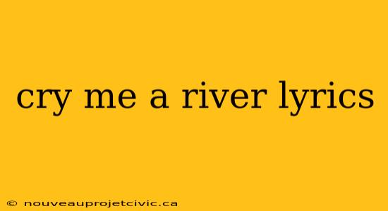 cry me a river lyrics