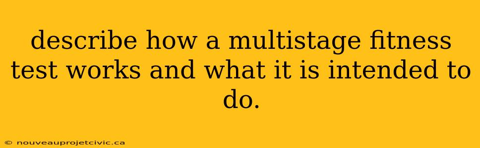 describe how a multistage fitness test works and what it is intended to do.