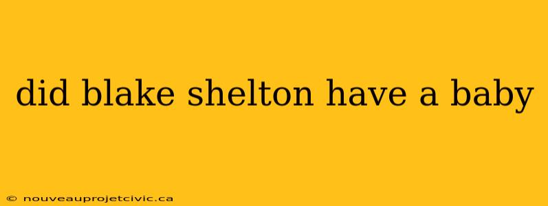 did blake shelton have a baby