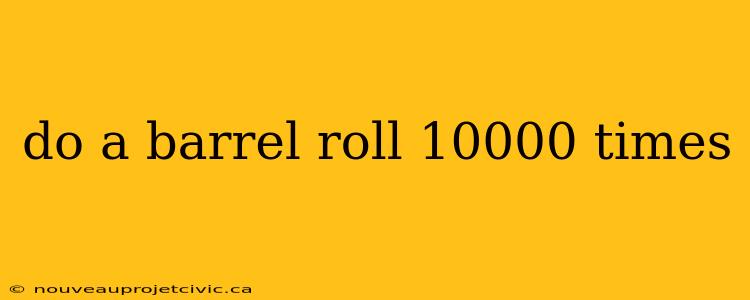 do a barrel roll 10000 times