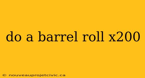 do a barrel roll x200