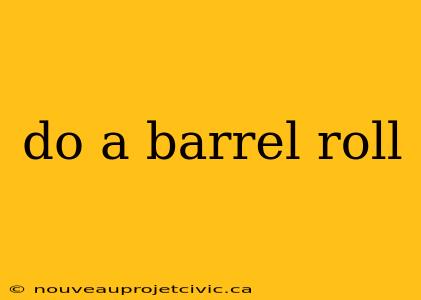 do a barrel roll