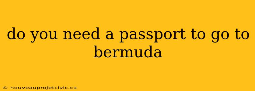 do you need a passport to go to bermuda