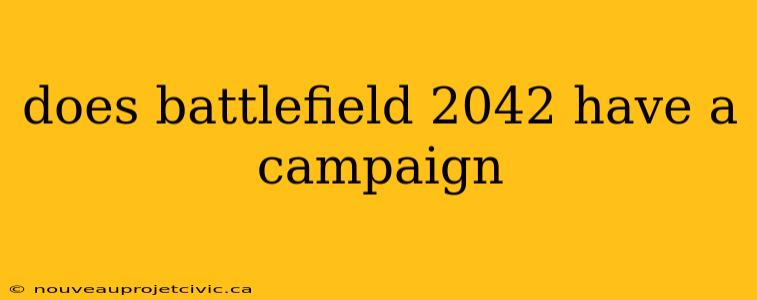 does battlefield 2042 have a campaign