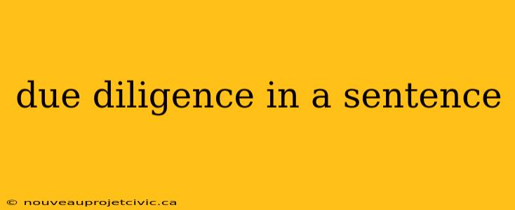 due diligence in a sentence