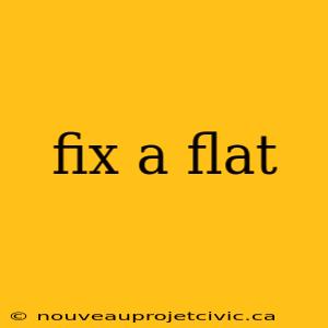 fix a flat