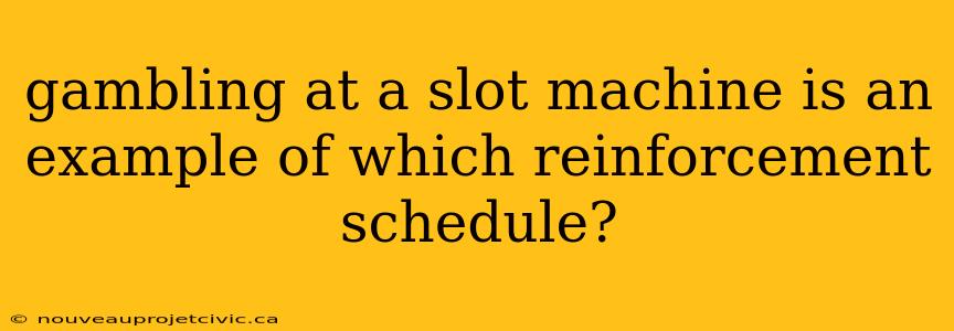 gambling at a slot machine is an example of which reinforcement schedule?