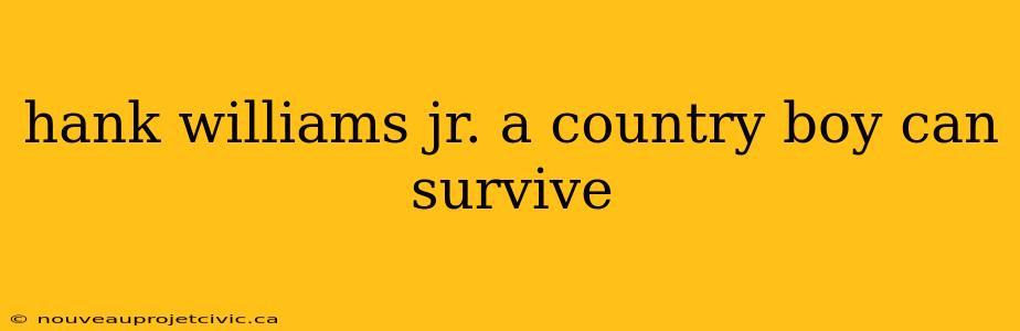 hank williams jr. a country boy can survive