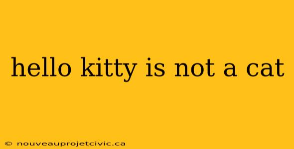 hello kitty is not a cat