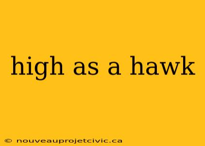 high as a hawk