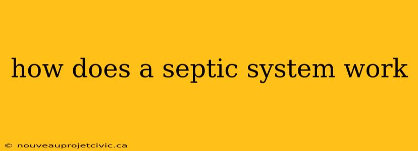 how does a septic system work