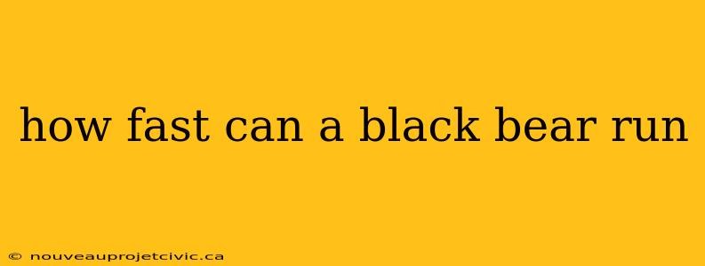 how fast can a black bear run