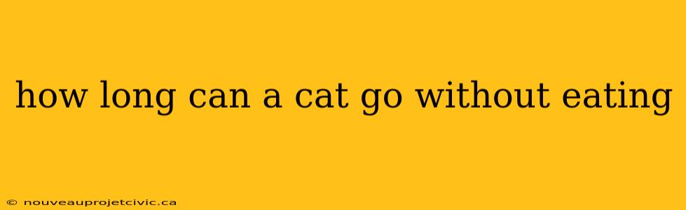 how long can a cat go without eating