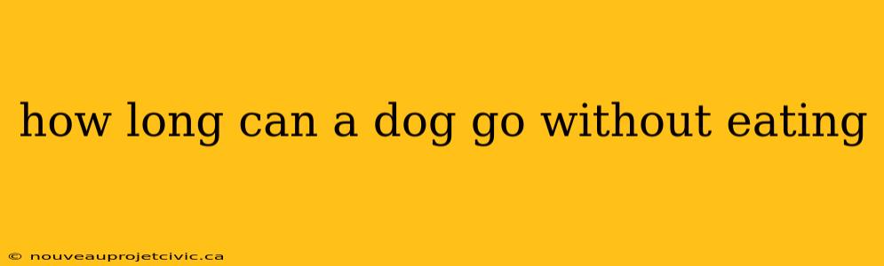 how long can a dog go without eating