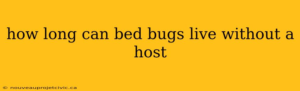 how long can bed bugs live without a host