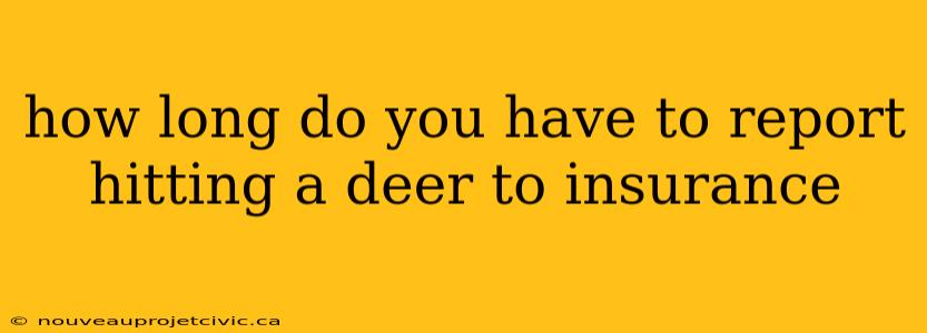 how long do you have to report hitting a deer to insurance