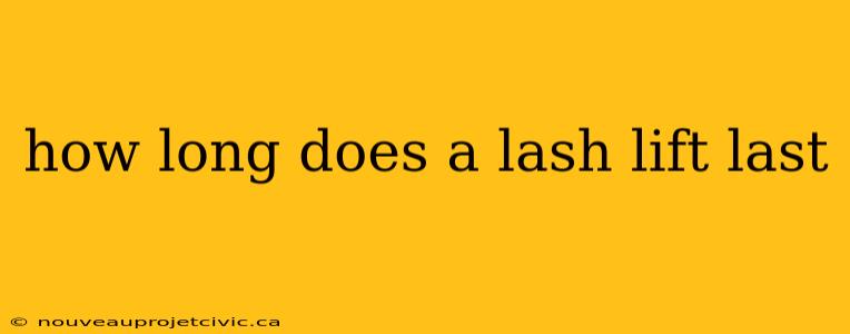 how long does a lash lift last