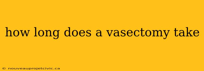 how long does a vasectomy take