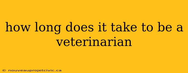 how long does it take to be a veterinarian