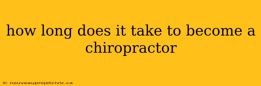 how long does it take to become a chiropractor