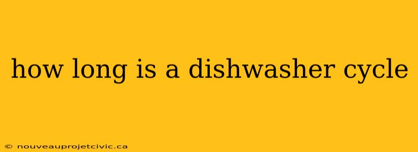 how long is a dishwasher cycle