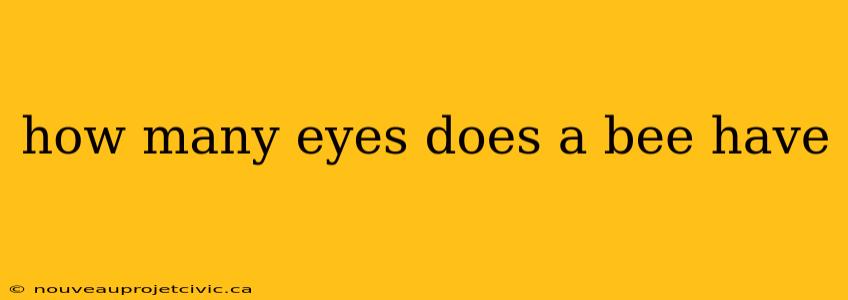 how many eyes does a bee have