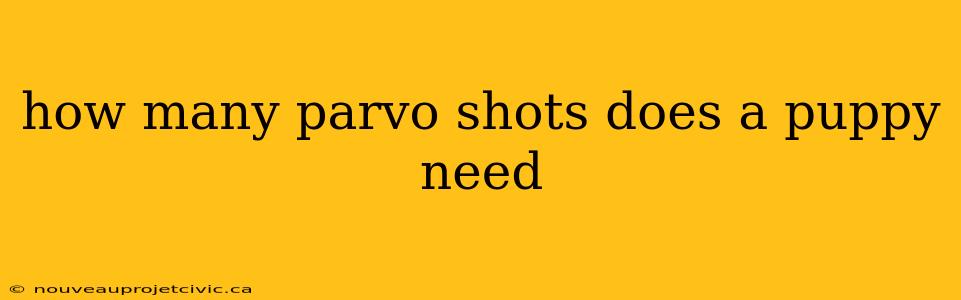 how many parvo shots does a puppy need