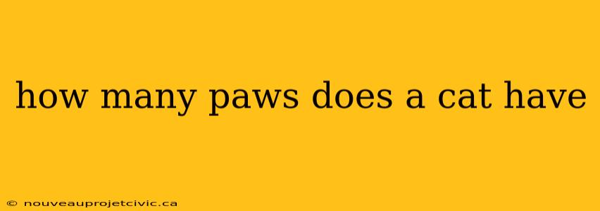 how many paws does a cat have