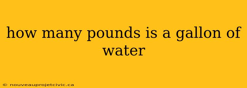 how many pounds is a gallon of water