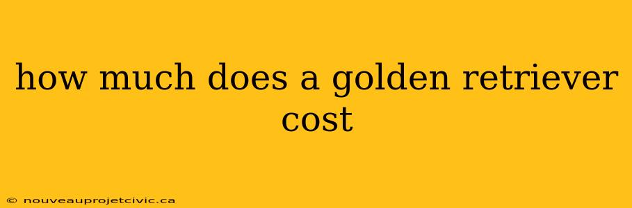 how much does a golden retriever cost