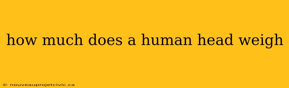 how much does a human head weigh